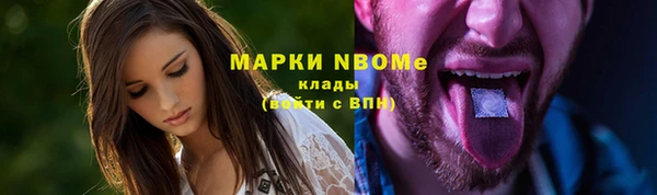 стафф Алзамай