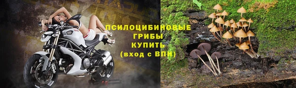 Альфа ПВП Алексин