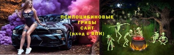 стафф Алзамай