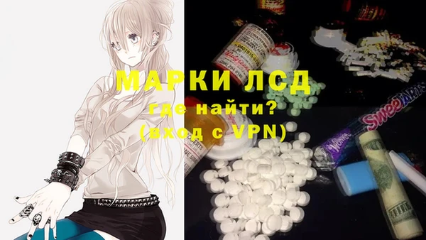 стафф Алзамай