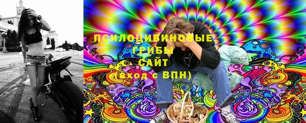 Альфа ПВП Алексин