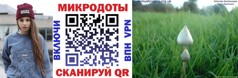 Галлюциногенные грибы Psilocybe  Хотьково 